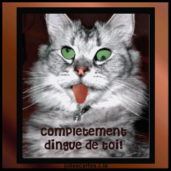 tro dingue de toi namour